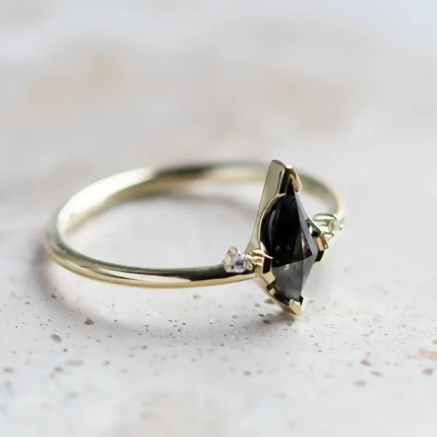 Salt and pepper diamond and classic diamond ring set DIVINITY Image