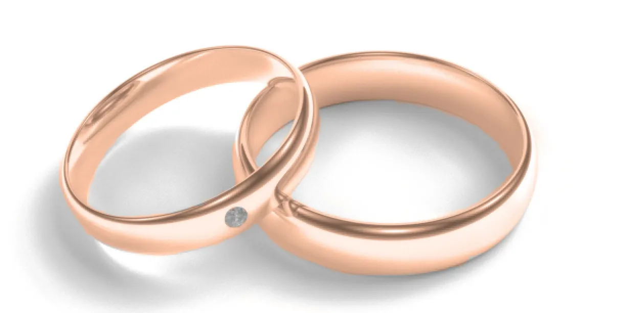 Matt white gold wedding rings with diamond D-SHAPE Image