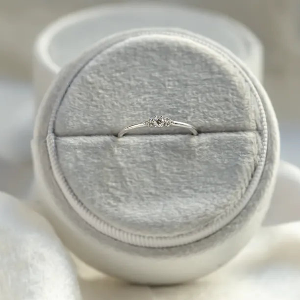 Minimalist engagement ring with diamonds JUDY Image