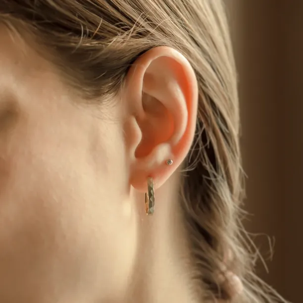 Gold circle earrings with irregural shape BREE  Image
