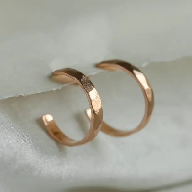 Gold circle earrings with irregural shape BREE  Image