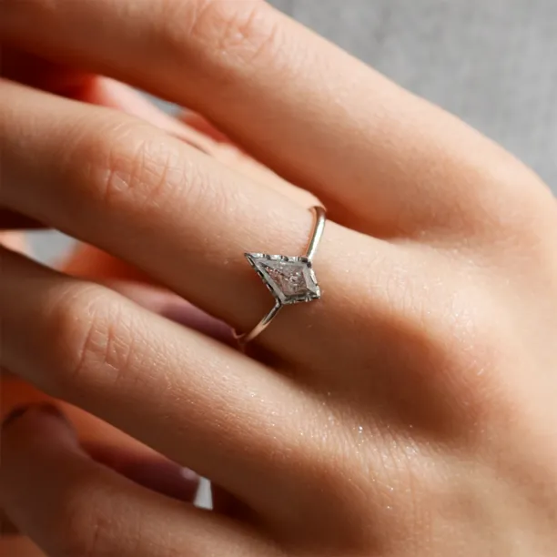 Gold ring with kite salt'n'pepper diamond BILL Image