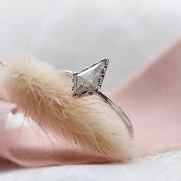 Gold ring with kite salt'n'pepper diamond BILL Image