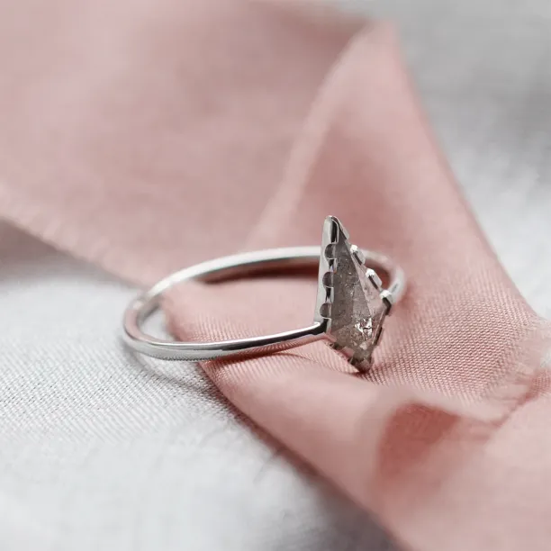 Gold ring with kite salt'n'pepper diamond BILL Image