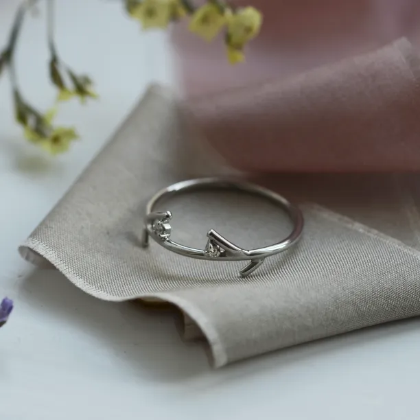 Gold minimalist leaf ring with diamonds OWE Image