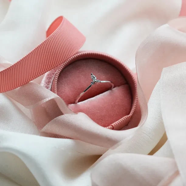 Minimalist gold ring with diamonds JANIS Image