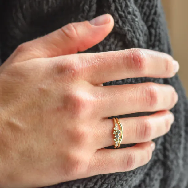 Gold rings set with salt and pepper diamonds FLYN Image