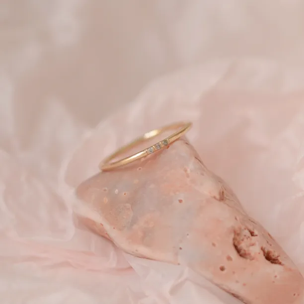 Gold minimalist ring with salt and pepper diamonds OLU Image