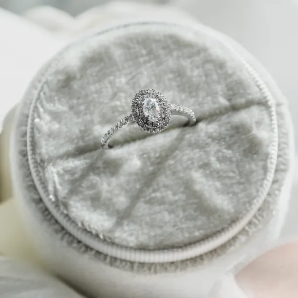 Double halo engagement ring with moissanites ELEANOR Image