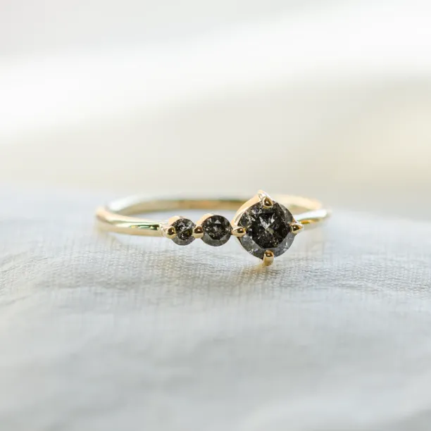 Gold ring with salt and pepper diamond SUE Image
