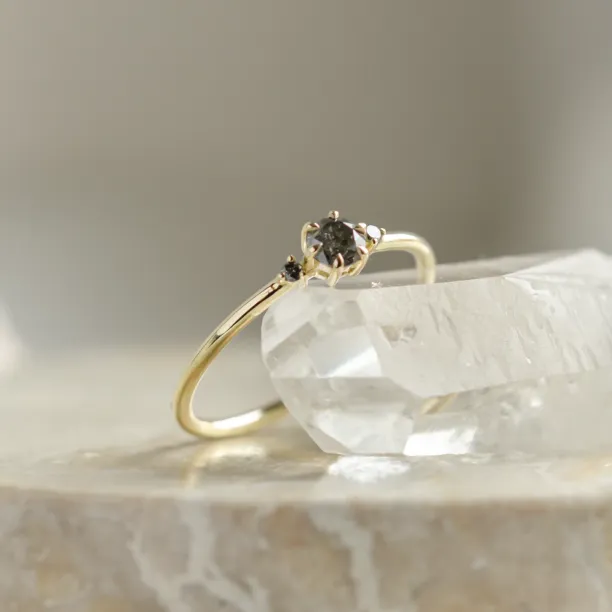 Minimalist engagement ring with salt and pepper diamonds TROIS Image
