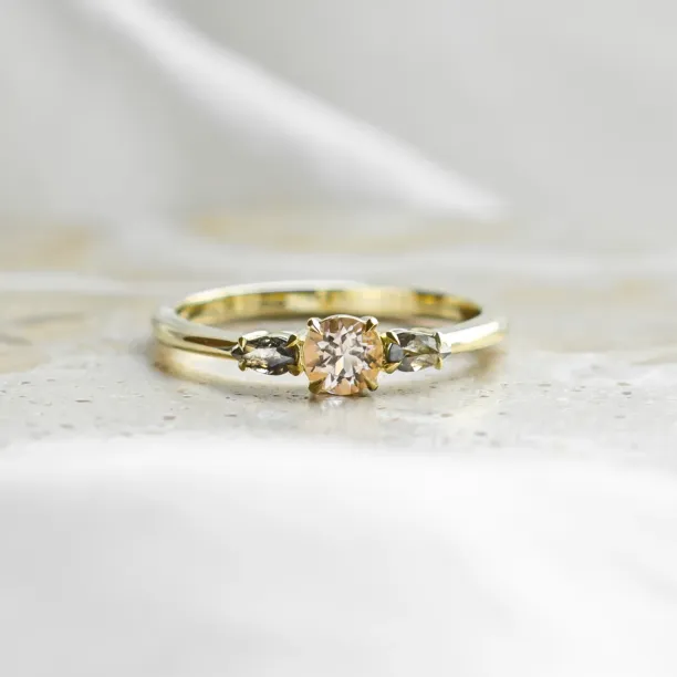 Gold ring with morganite and salt and pepper diamonds DUSTY Image