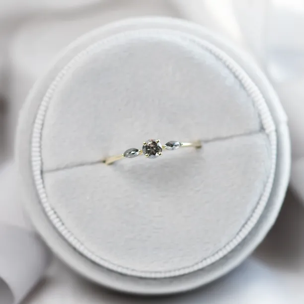 Salt and pepper diamond ring RINA Image