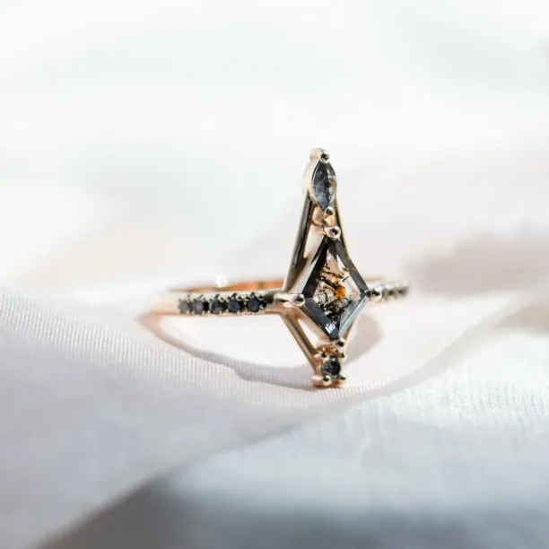 Extravagant ring with salt and pepper diamonds SANIA Image