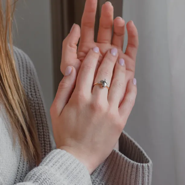 Gold cluster salt'n'pepper diamonds ring FILOMENA Image