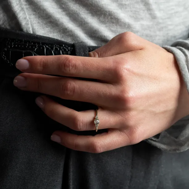 Gold ring with salt and pepper diamond MONNY Image