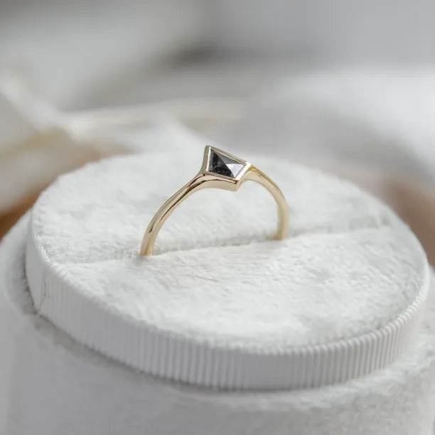 Minimalist engagement ring with salt and pepper diamond ARIZONA Image