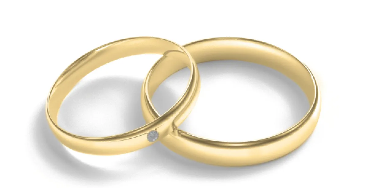 Matt white gold wedding rings with diamond D-SHAPE Image