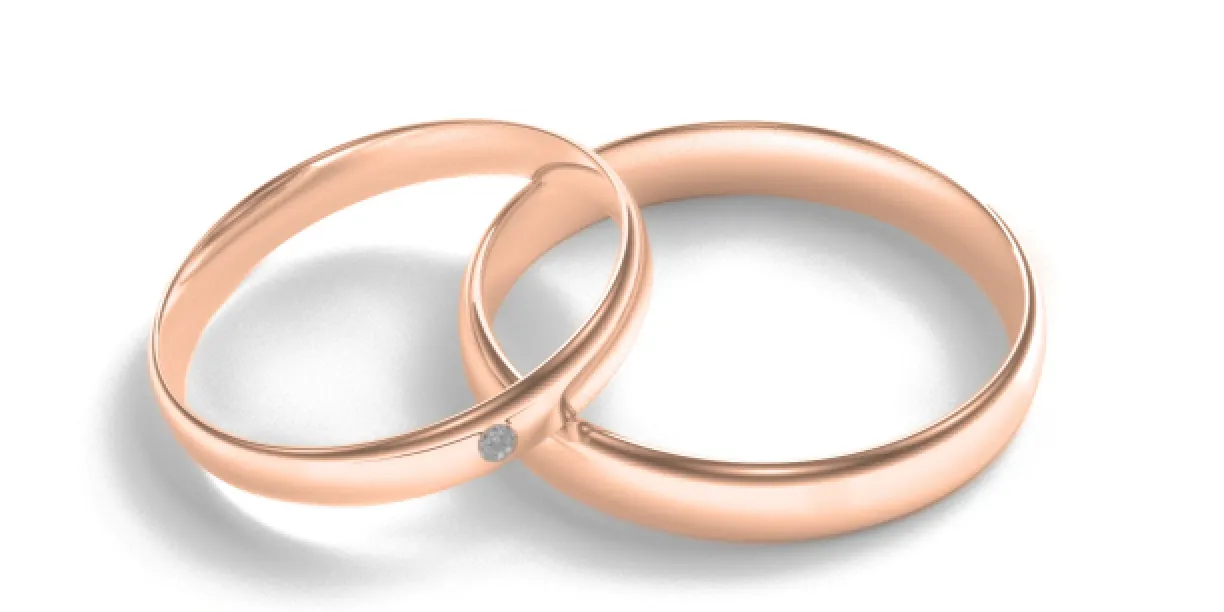 Matt white gold wedding rings with diamond D-SHAPE Image