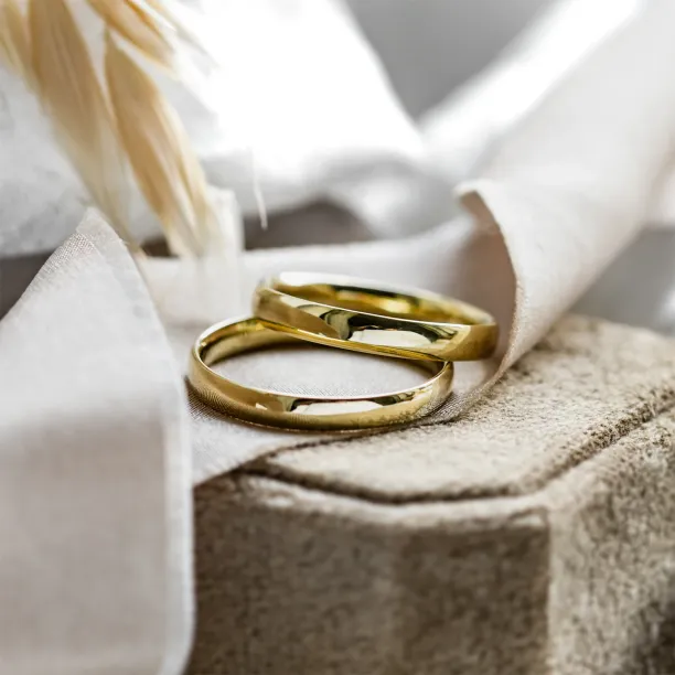 Solid wedding rings made of yellow gold VIRGINIE Image