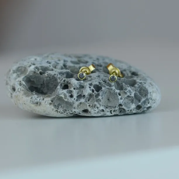 ANY Golden stud earrings with a black diamond Image