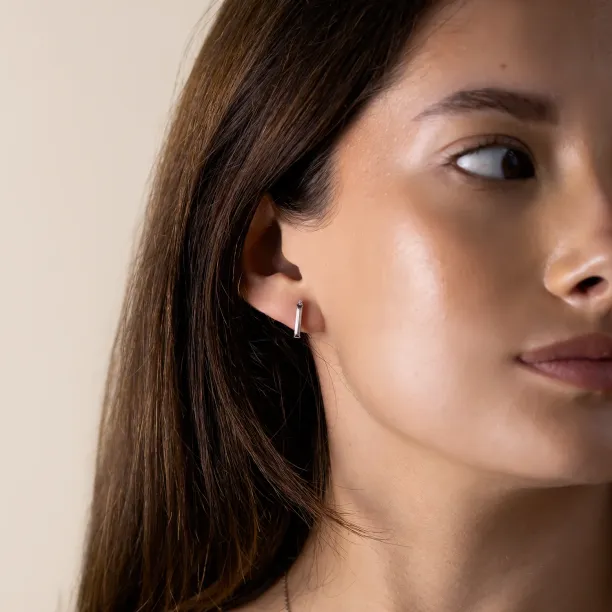 Moissanite and diamond earrings FELICIS Image