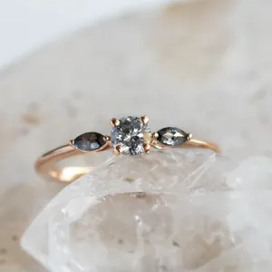 Salt and pepper diamond ring RINA Thumbnail