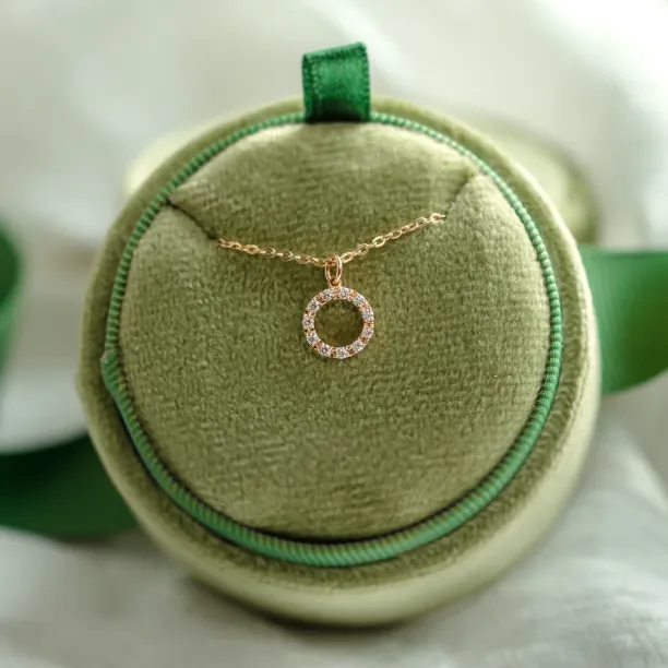 Circle lab-grown diamond necklace REESE Image