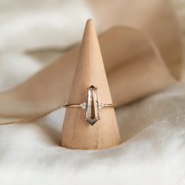 Ring with lab-grown salt and pepper diamond and classic diamonds GOTH Image