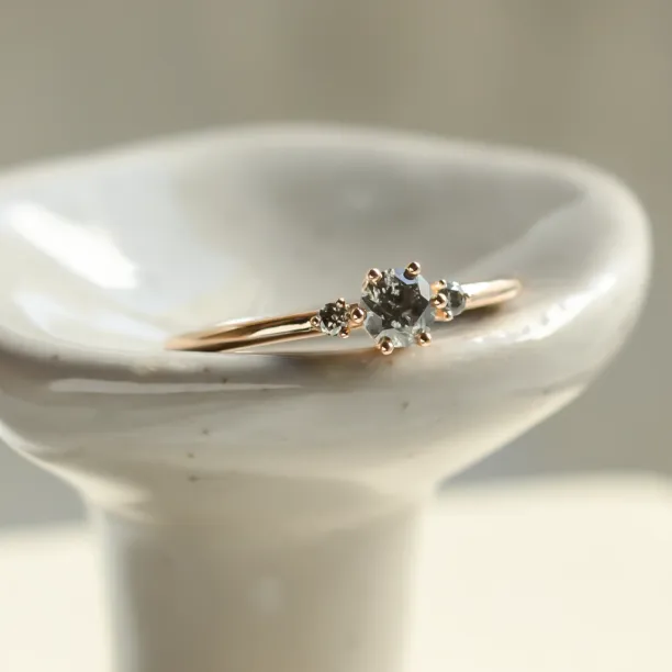 Minimalist engagement ring with salt and pepper diamonds TROIS Image