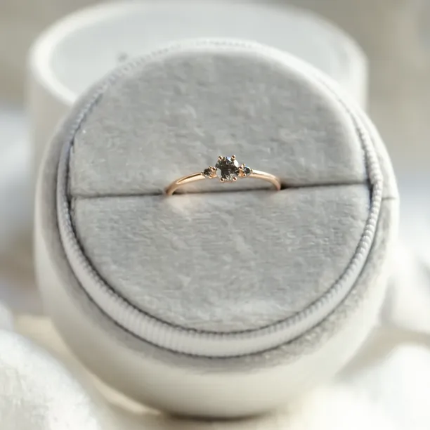 Minimalist engagement ring with salt and pepper diamonds TROIS Image