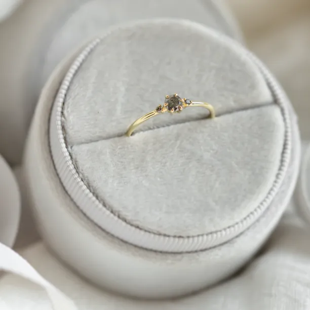 Minimalist engagement ring with salt and pepper diamonds TROIS Image