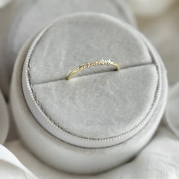 Minimalist ring with diamonds DIADEM Image