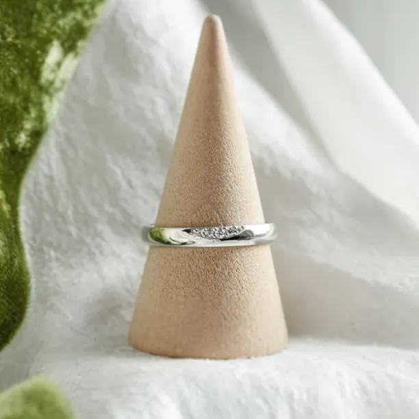 Gold ring with five diamonds NICO Image