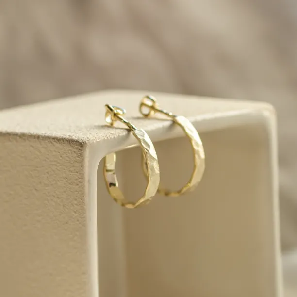 Gold circle earrings with irregural shape BREE  Image