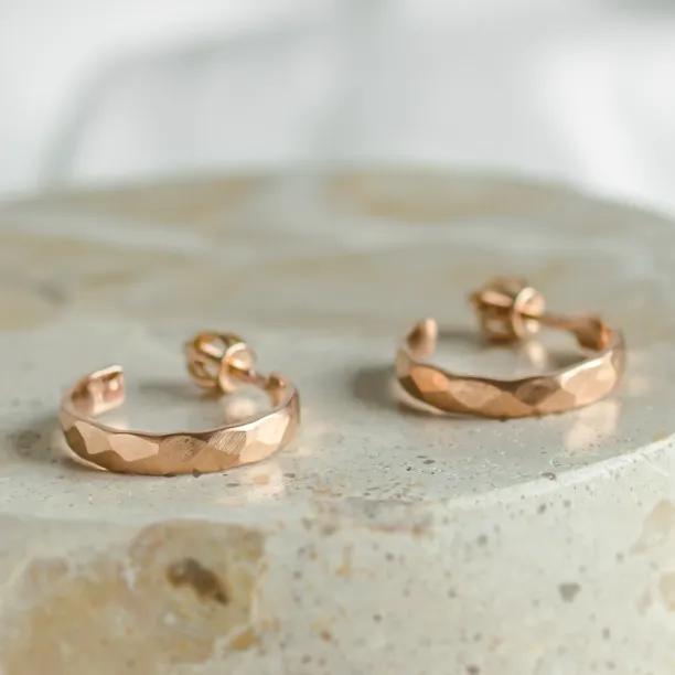 Gold circle earrings with irregural shape BREE  Image