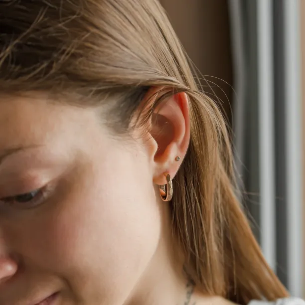 Gold circle earrings with irregural shape BREE  Image