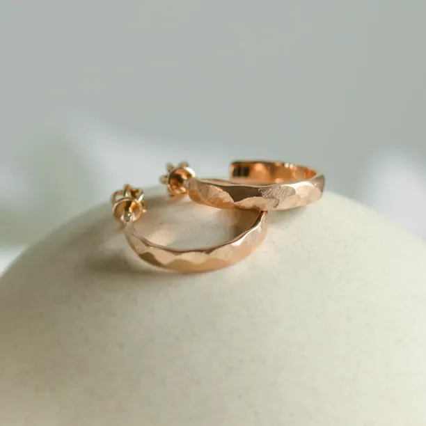 Gold circle earrings with irregural shape BREE  Image