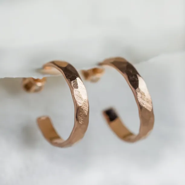 Gold circle earrings with irregural shape BREE  Image