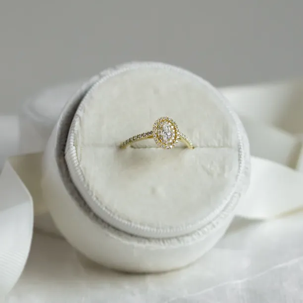 Double halo engagement ring with diamonds ELSA Image