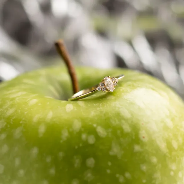 Romantic engagement ring with diamonds MILLIANA Image