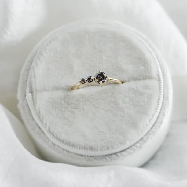Gold ring with salt and pepper diamond SUE Image