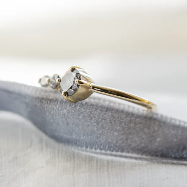 Gold ring with salt and pepper diamond SUE Image