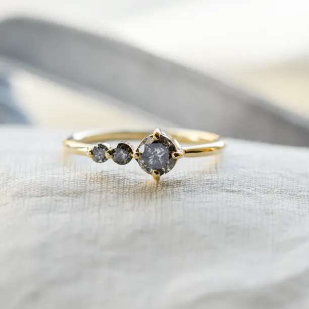 Gold ring with salt and pepper diamond SUE Image
