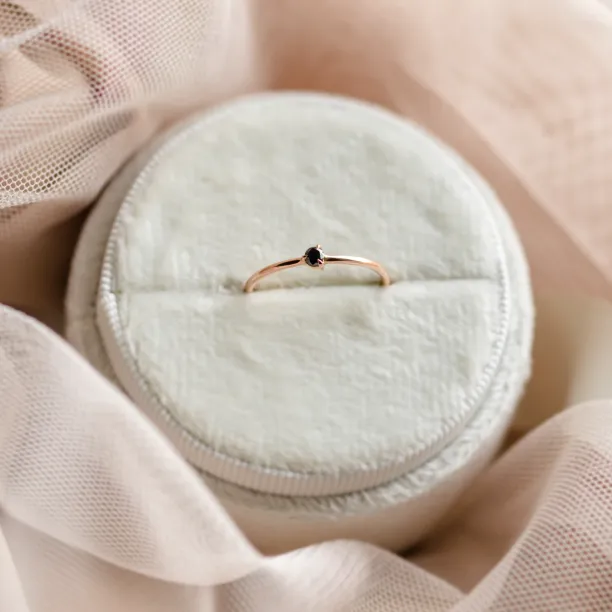 Minimalist jewelry collection with black diamond DUNCAN Image