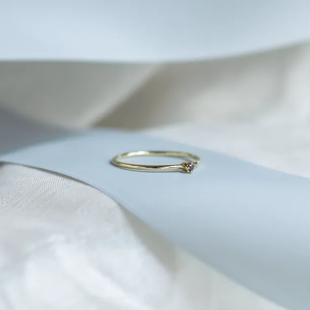 Gold minimalist ring with black diamond BRUNO Image