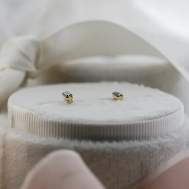 Decent earrings with salt and pepper diamonds PEPPE Image