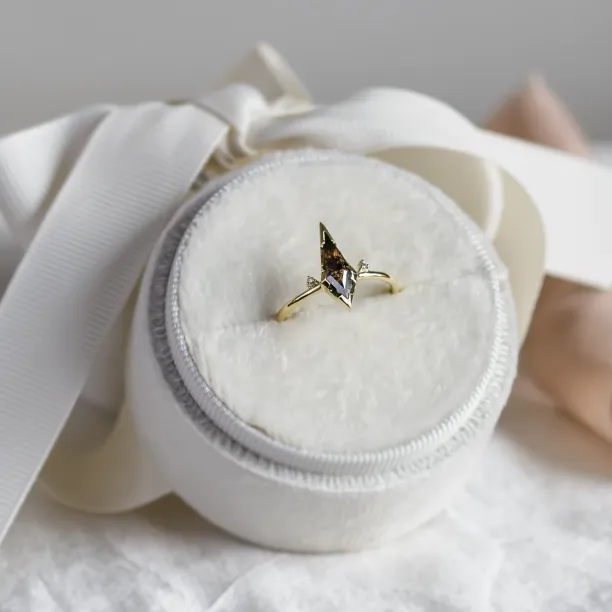 Alternative engagement ring with salt and pepper diamond CHLOE Image