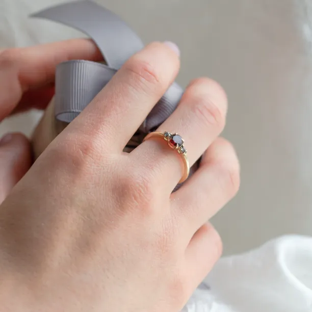 Gold ring with garnet and salt and pepper diamonds DRAGON Image