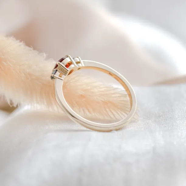 Gold ring with garnet and salt and pepper diamonds DRAGON Image